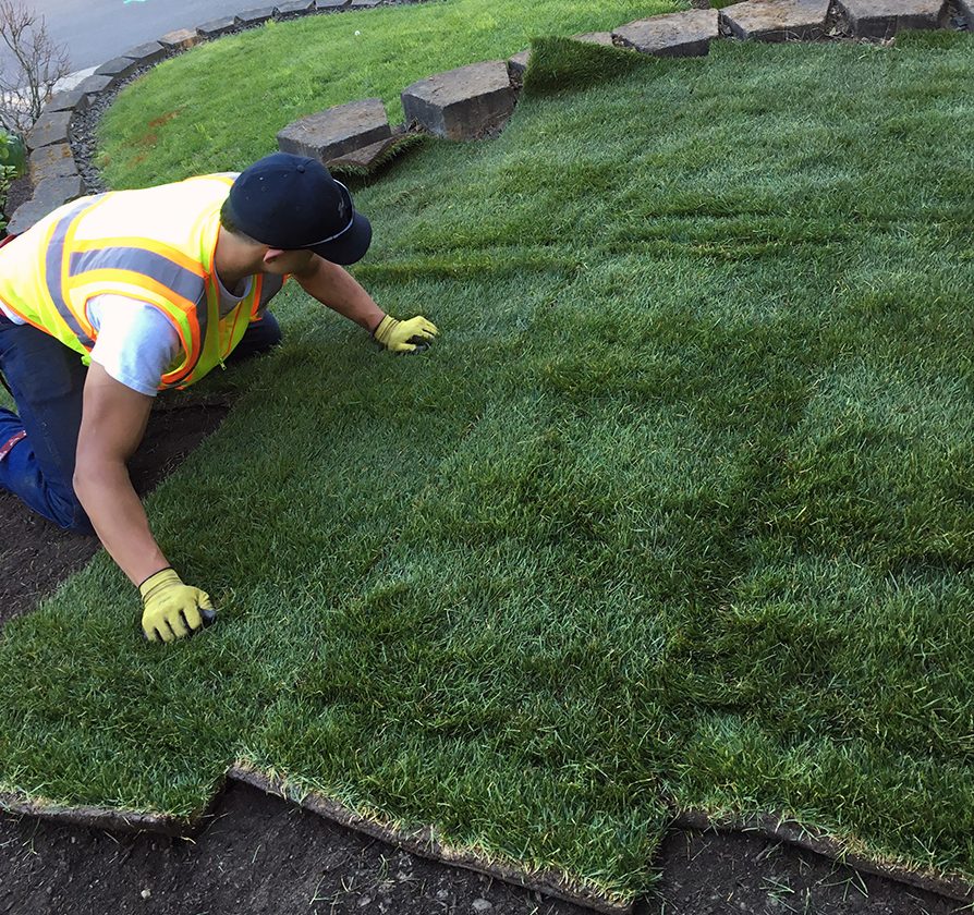 Expert sod installation and irrigation system setup for New Jersey lawns